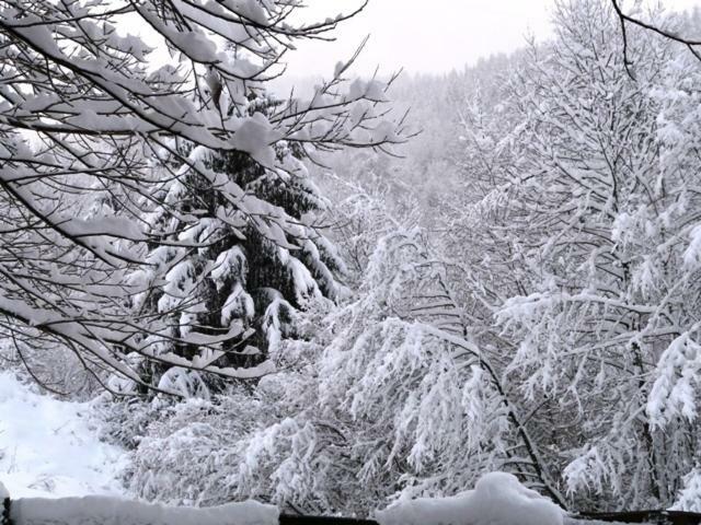 Chalet Les Sapins Argentes Gerardmer Room photo